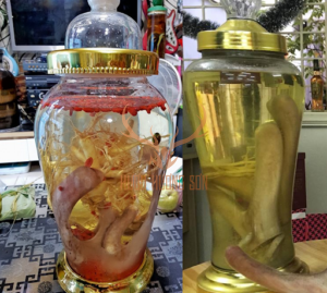 tác dụng của nhung hươu tươi