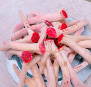 cách chế biến và bảo quản nhung hươu