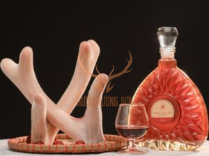 cách sử dụng nhung hươu tươi hương sơn