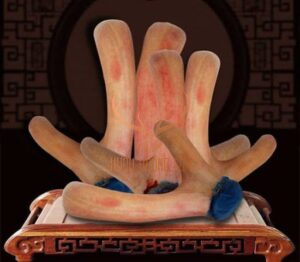 tác dụng nhung hươu hương sơn