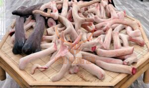 nhung hươu nguyên liệu giá sỉ