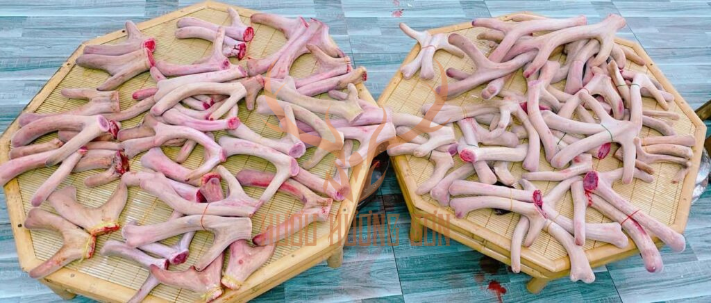 sỉ nhung hươu giá tận gốc