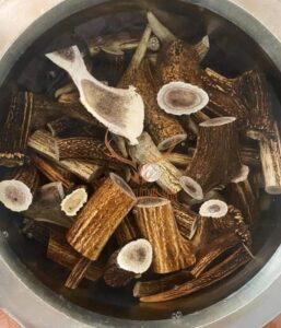 gạc hươu sừng già nấu cao ban long