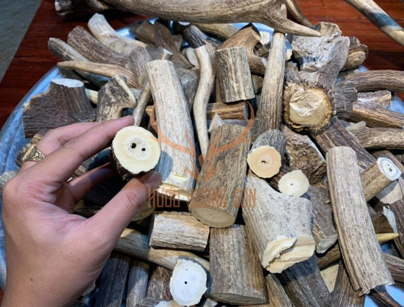 Gạc hươu già nấu cao
