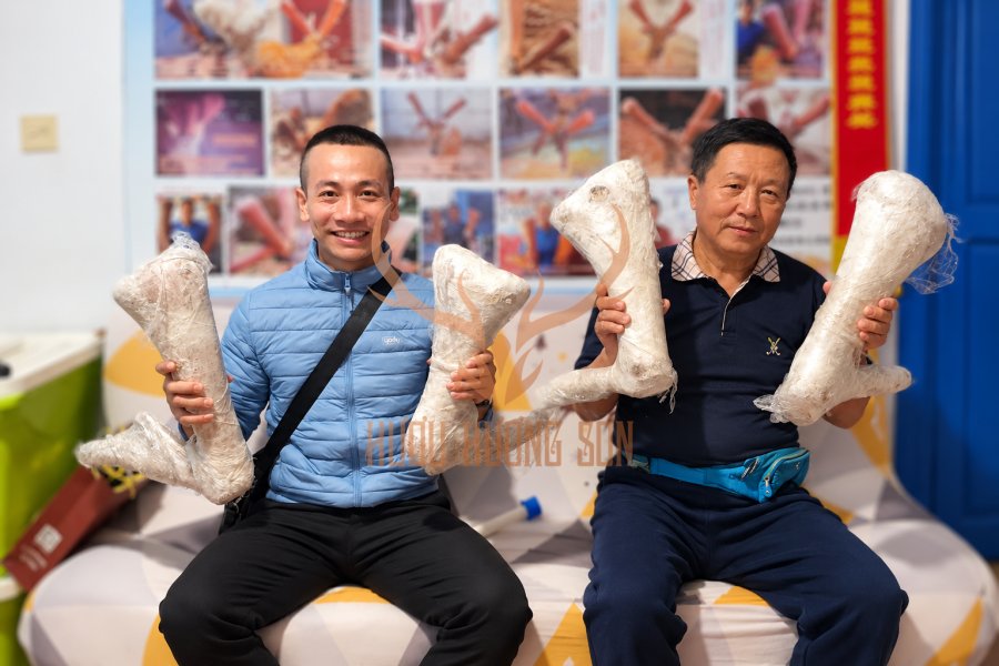 Học hỏi công nghệ mới cải tạo đàn hươu